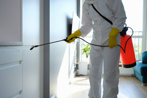 Best Commercial Mold Remediation in Bedford, IN